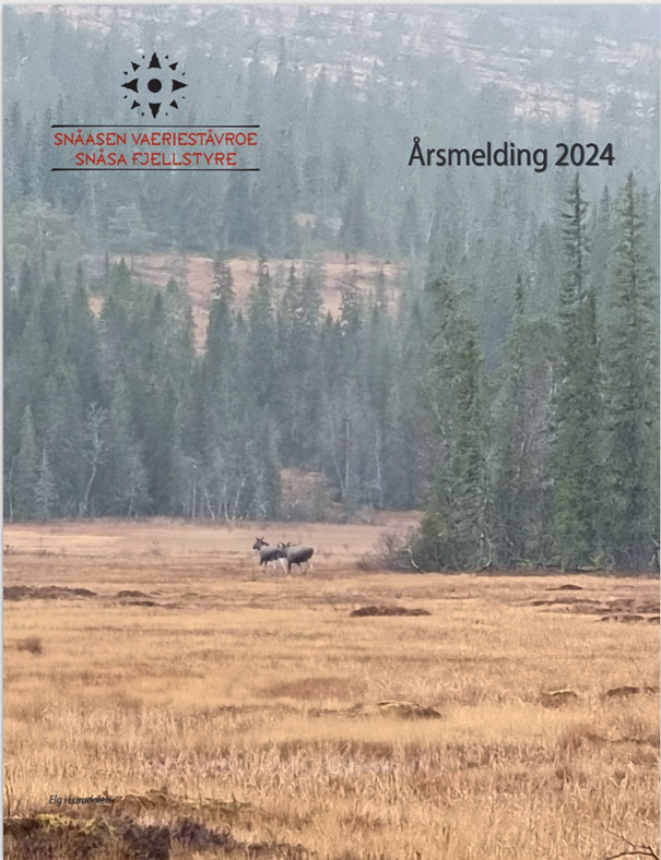 arsmelding-2024.png